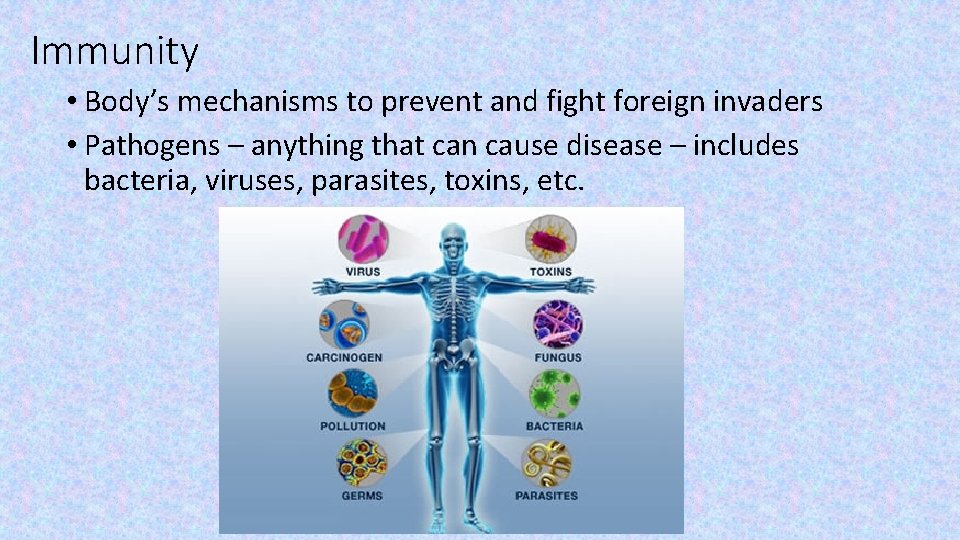 Immunity • Body’s mechanisms to prevent and fight foreign invaders • Pathogens – anything