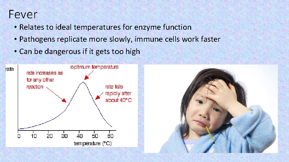 Fever • Relates to ideal temperatures for enzyme function • Pathogens replicate more slowly,