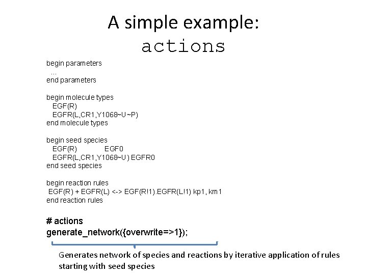 A simple example: actions begin parameters … end parameters begin molecule types EGF(R) EGFR(L,