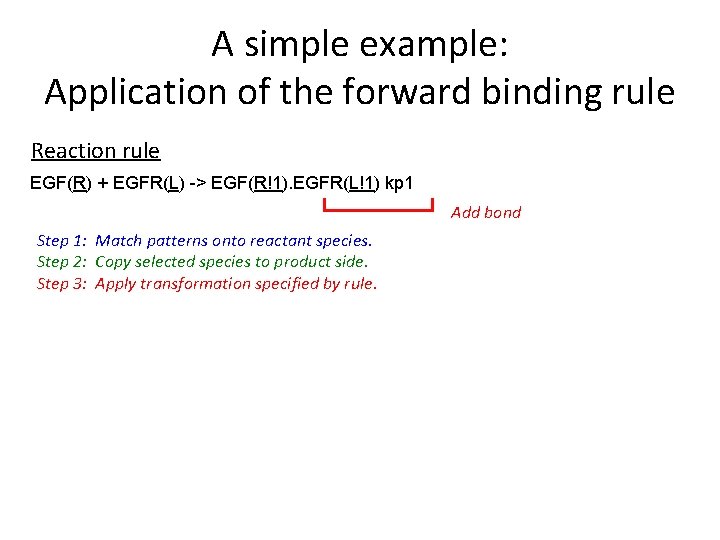 A simple example: Application of the forward binding rule Reaction rule EGF(R) + EGFR(L)