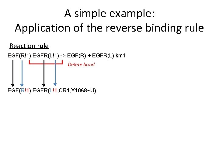 A simple example: Application of the reverse binding rule Reaction rule EGF(R!1). EGFR(L!1) ->