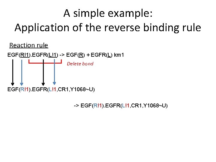 A simple example: Application of the reverse binding rule Reaction rule EGF(R!1). EGFR(L!1) ->