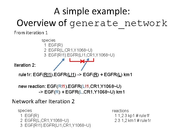 A simple example: Overview of generate_network From iteration 1 species 1 EGF(R) 2 EGFR(L,