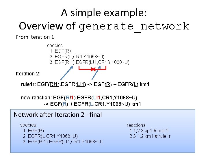 A simple example: Overview of generate_network From iteration 1 species 1 EGF(R) 2 EGFR(L,