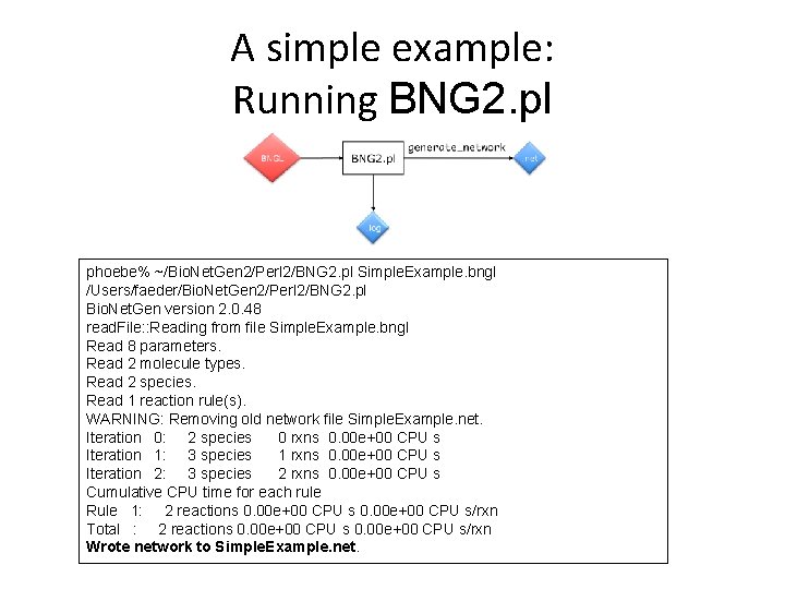 A simple example: Running BNG 2. pl phoebe% ~/Bio. Net. Gen 2/Perl 2/BNG 2.