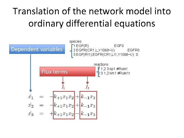 Translation of the network model into ordinary differential equations Dependent variables species 1 EGF(R)