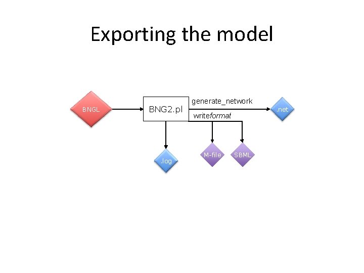 Exporting the model BNGL BNG 2. pl . log generate_network. net writeformat M-file SBML