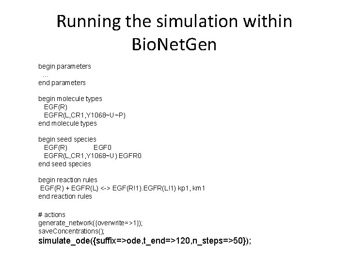 Running the simulation within Bio. Net. Gen begin parameters … end parameters begin molecule