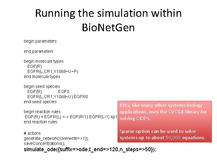 Running the simulation within Bio. Net. Gen begin parameters … end parameters begin molecule