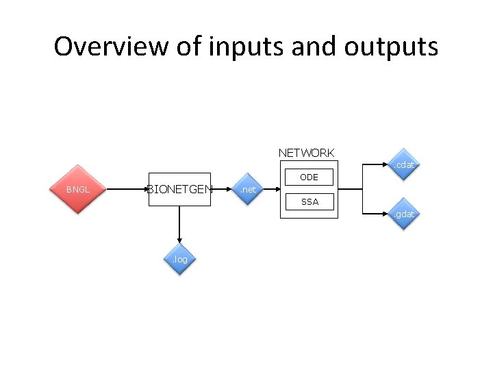 Overview of inputs and outputs NETWORK . cdat ODE BNGL BIONETGEN . net SSA.