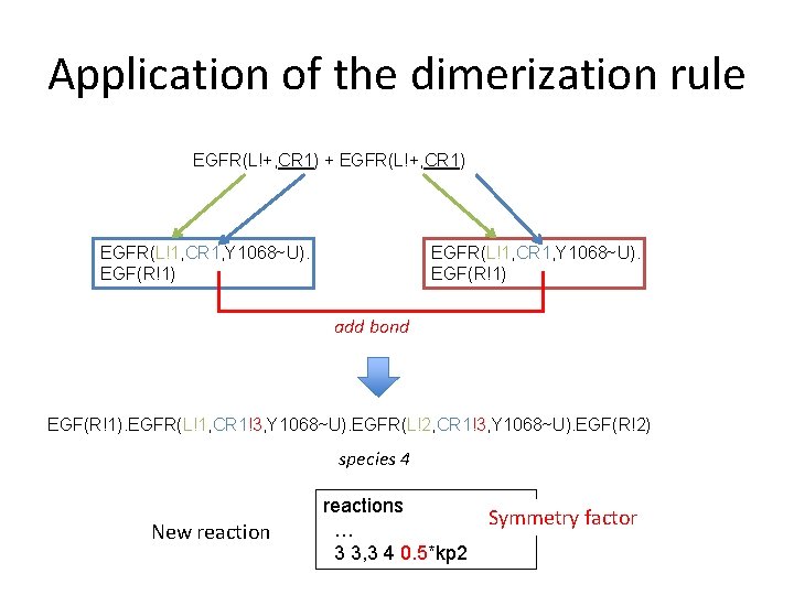 Application of the dimerization rule EGFR(L!+, CR 1) + EGFR(L!+, CR 1) EGFR(L!1, CR