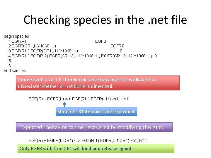 Checking species in the. net file begin species 1 EGF(R) EGF 0 2 EGFR(CR