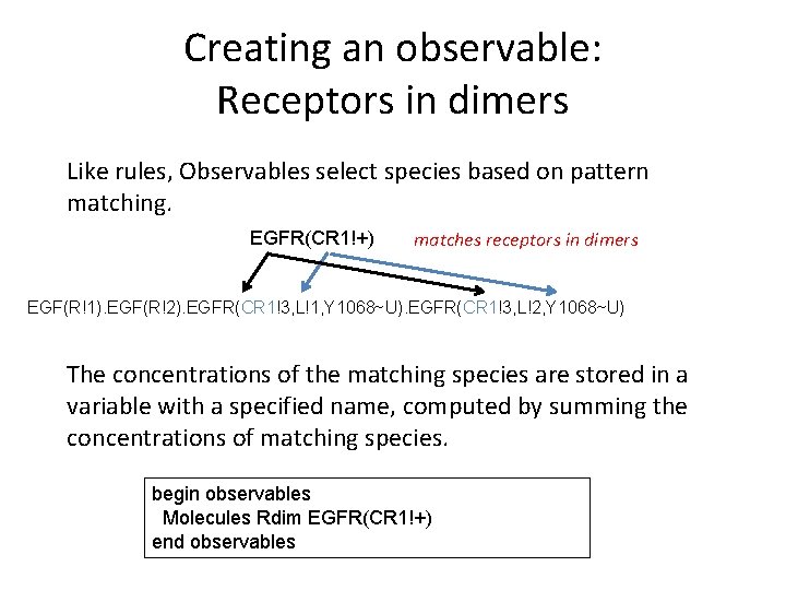 Creating an observable: Receptors in dimers Like rules, Observables select species based on pattern