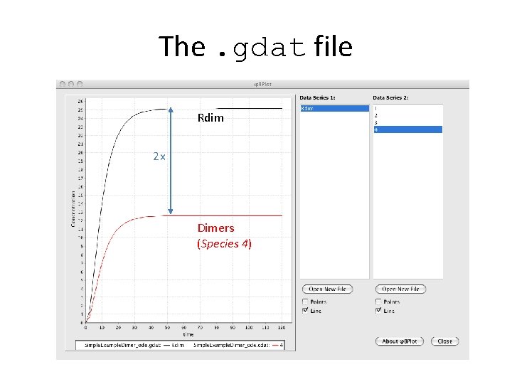 The. gdat file Rdim 2 x Dimers (Species 4) 