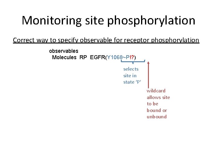 Monitoring site phosphorylation Correct way to specify observable for receptor phosphorylation observables Molecules RP