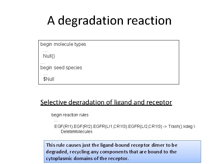 A degradation reaction begin molecule types … Null() … begin seed species … $Null