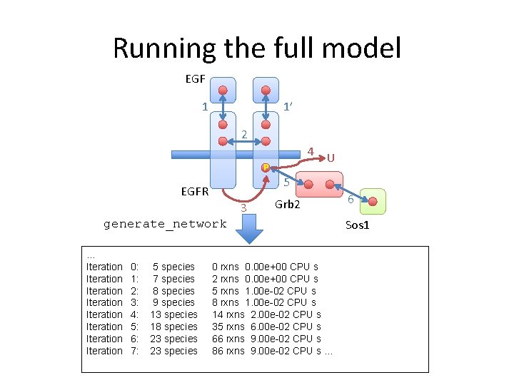 Running the full model EGF 1 1’ 2 4 U P 5 EGFR 3