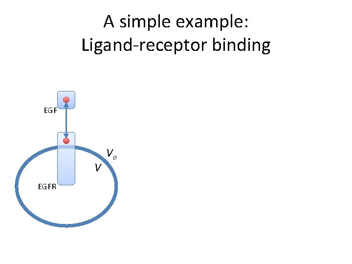 A simple example: Ligand-receptor binding EGF V EGFR Vo 