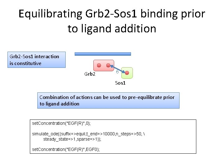 Equilibrating Grb 2 -Sos 1 binding prior to ligand addition Grb 2 -Sos 1