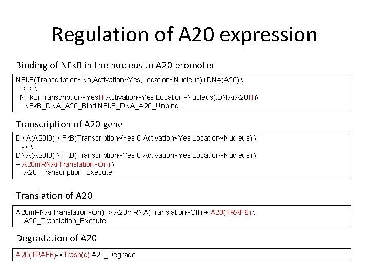 Regulation of A 20 expression Binding of NFk. B in the nucleus to A