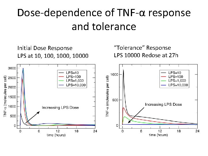 Dose-dependence of TNF-α response and tolerance Initial Dose Response LPS at 10, 1000, 10000