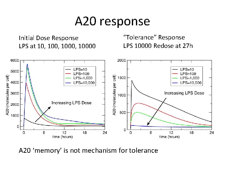 A 20 response Initial Dose Response LPS at 10, 1000, 10000 “Tolerance” Response LPS