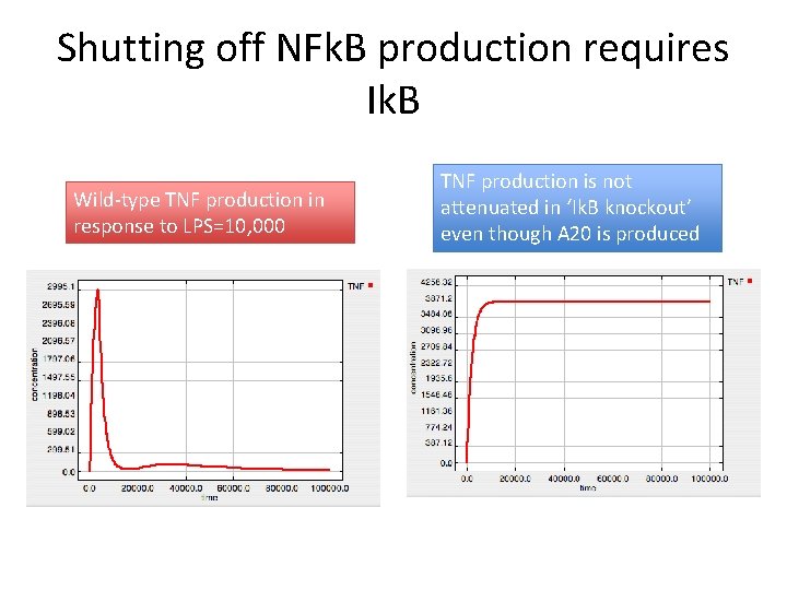 Shutting off NFk. B production requires Ik. B Wild-type TNF production in response to