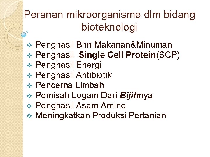 Peranan mikroorganisme dlm bidang bioteknologi v v v v Penghasil Bhn Makanan&Minuman Penghasil Single