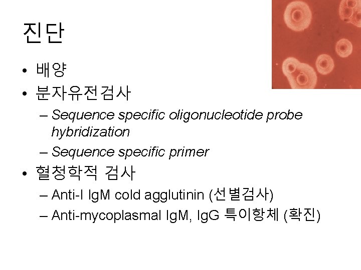 진단 • 배양 • 분자유전검사 – Sequence specific oligonucleotide probe hybridization – Sequence specific