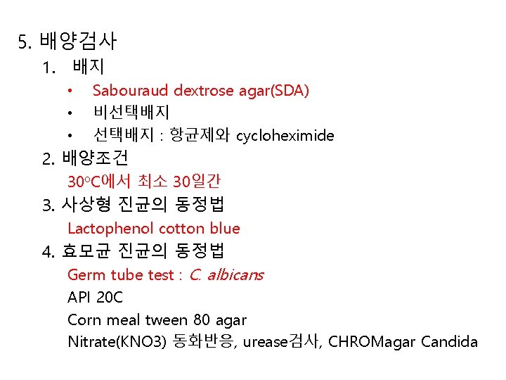 5. 배양검사 1. 배지 • • • Sabouraud dextrose agar(SDA) 비선택배지 : 항균제와 cycloheximide