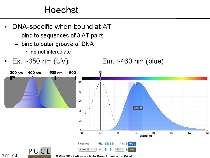 Hoechst • DNA-specific when bound at AT – bind to sequences of 3 AT