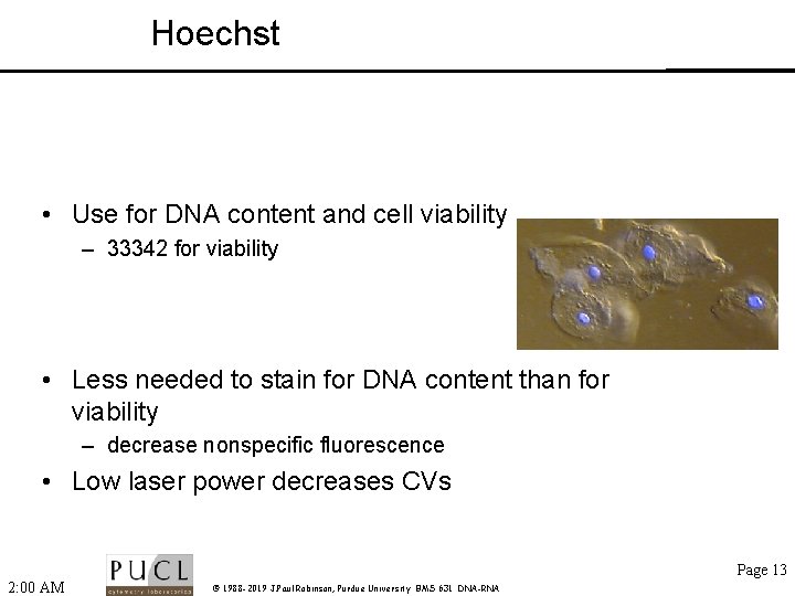 Hoechst • Use for DNA content and cell viability – 33342 for viability •