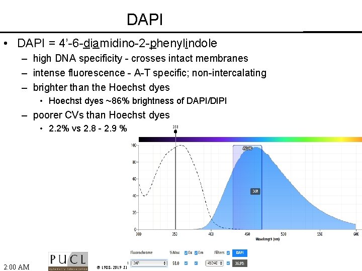 DAPI • DAPI = 4’-6 -diamidino-2 -phenylindole – high DNA specificity - crosses intact