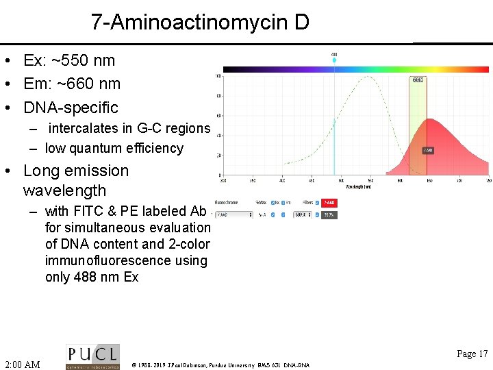 7 -Aminoactinomycin D • Ex: ~550 nm • Em: ~660 nm • DNA-specific 350