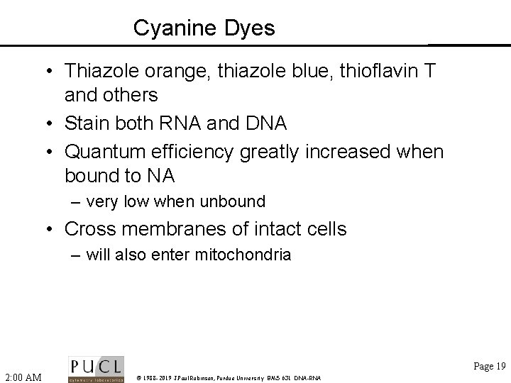 Cyanine Dyes • Thiazole orange, thiazole blue, thioflavin T and others • Stain both