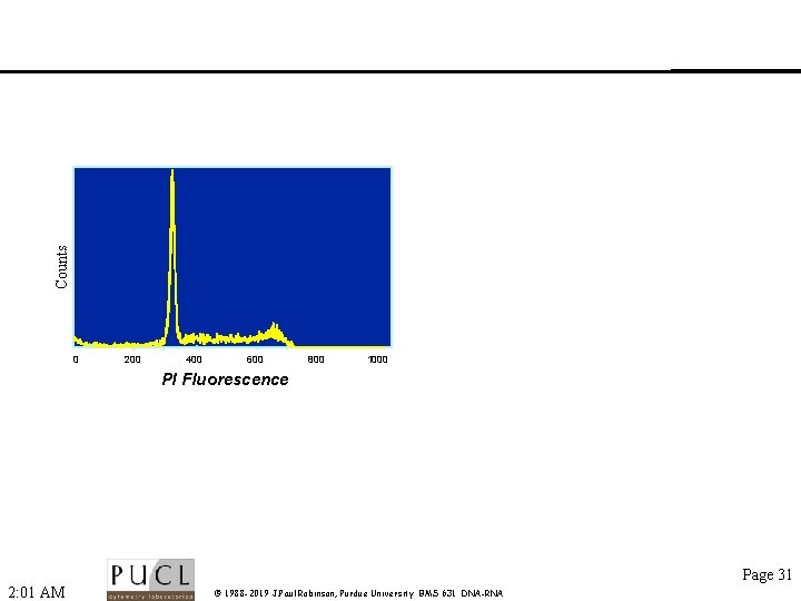 Counts 0 200 400 600 800 1000 PI Fluorescence Page 31 2: 01 AM
