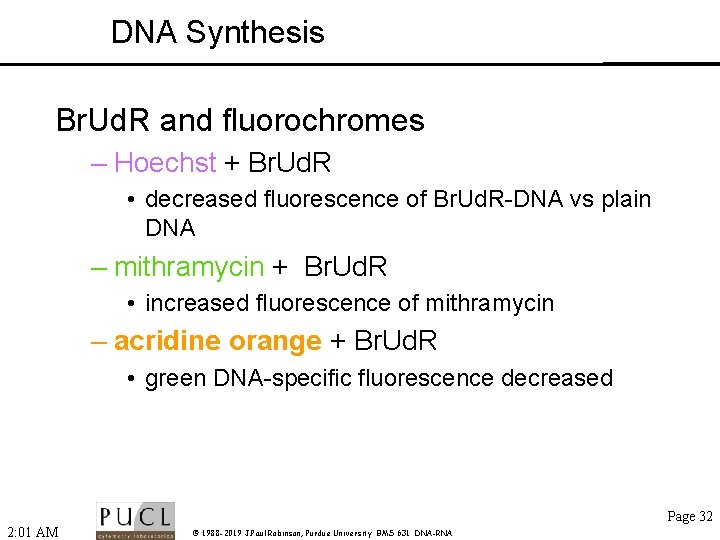 DNA Synthesis Br. Ud. R and fluorochromes – Hoechst + Br. Ud. R •