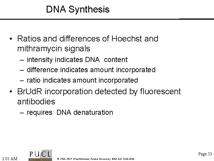 DNA Synthesis • Ratios and differences of Hoechst and mithramycin signals – intensity indicates