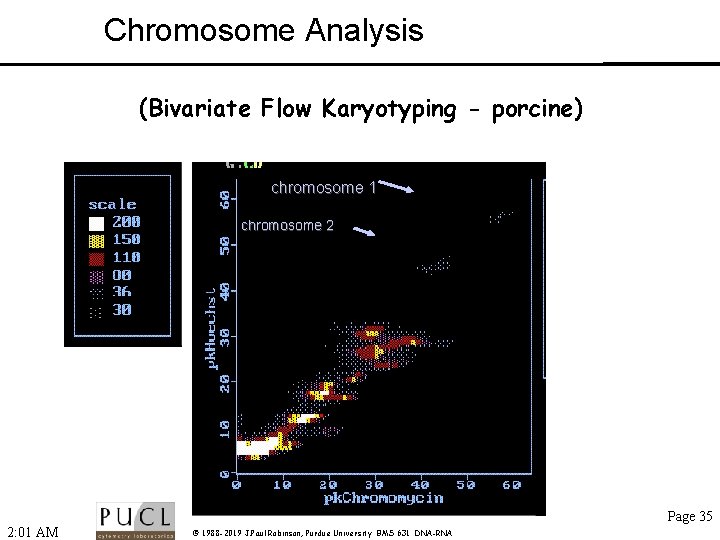 Chromosome Analysis (Bivariate Flow Karyotyping - porcine) chromosome 1 chromosome 2 Page 35 2: