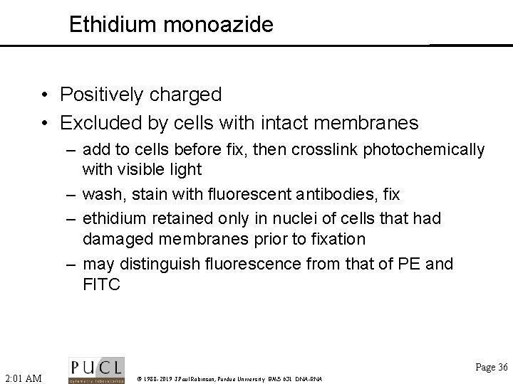Ethidium monoazide • Positively charged • Excluded by cells with intact membranes – add