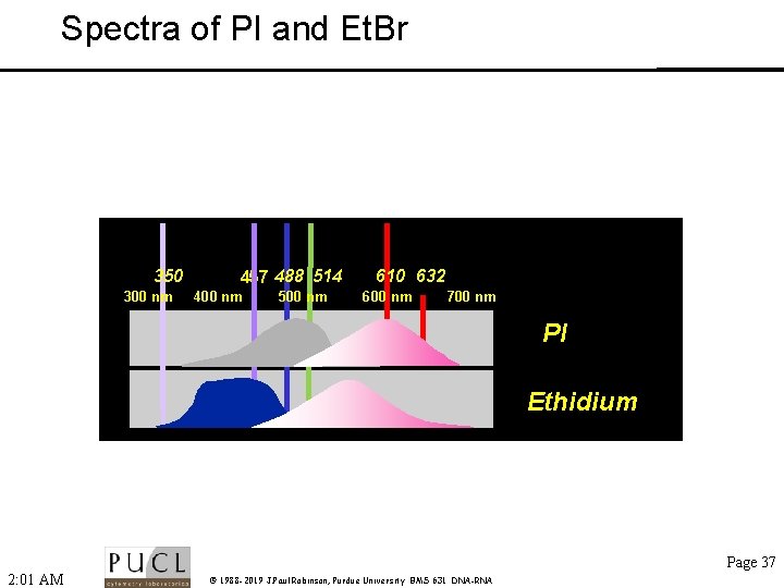 Spectra of PI and Et. Br 350 300 nm 457 488 514 400 nm