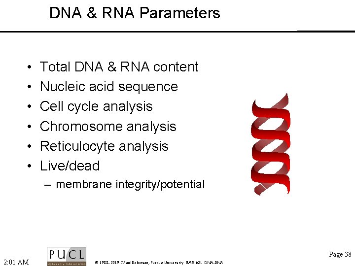 DNA & RNA Parameters • • • Total DNA & RNA content Nucleic acid