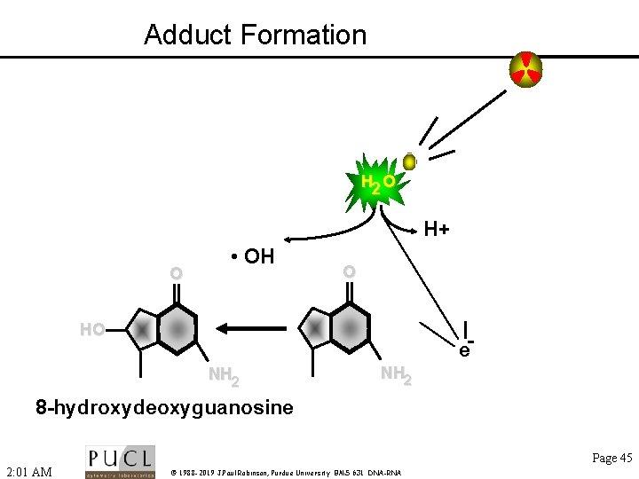 Adduct Formation H 2 O H+ O • OH O HO e. NH 2