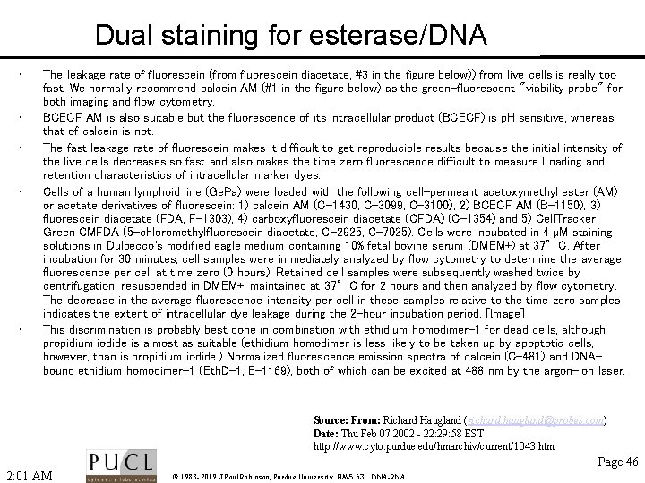 Dual staining for esterase/DNA • • • The leakage rate of fluorescein (from fluorescein