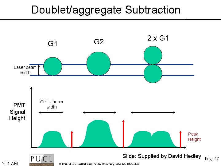 Doublet/aggregate Subtraction 2 x G 1 G 2 G 1 Laser beam width PMT