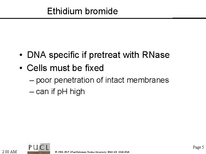 Ethidium bromide • DNA specific if pretreat with RNase • Cells must be fixed