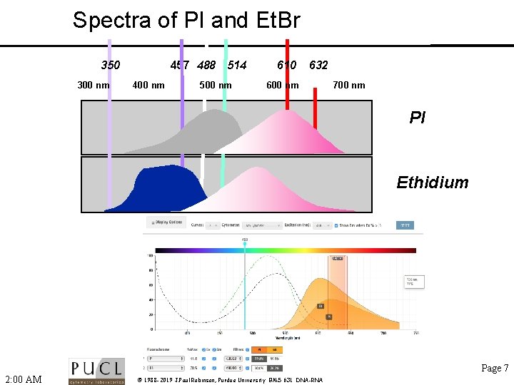 Spectra of PI and Et. Br 350 300 nm 457 488 514 400 nm