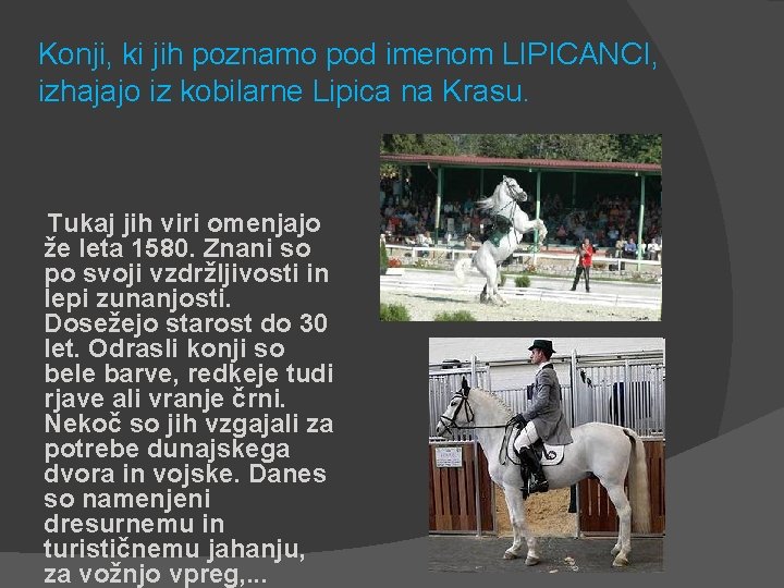 Konji, ki jih poznamo pod imenom LIPICANCI, izhajajo iz kobilarne Lipica na Krasu. Tukaj