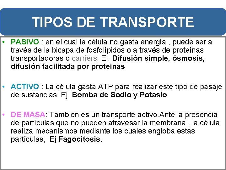 TIPOS DE TRANSPORTE • PASIVO : en el cual la célula no gasta energía