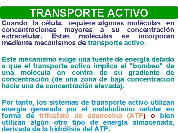 TRANSPORTE ACTIVO Cuando la célula, requiere algunas moléculas en concentraciones mayores a su concentración